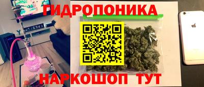 ECSTASY Будённовск