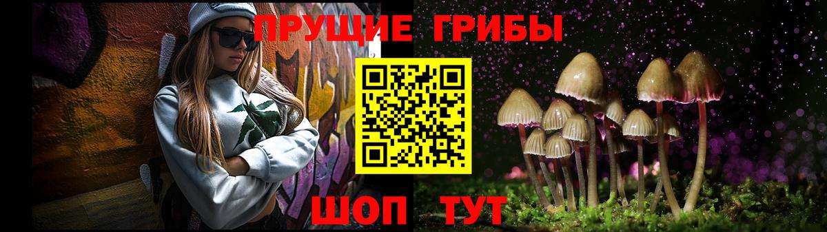 Можга  Галлюциногенные грибы GOLDEN TEACHER  Вход с VPN 