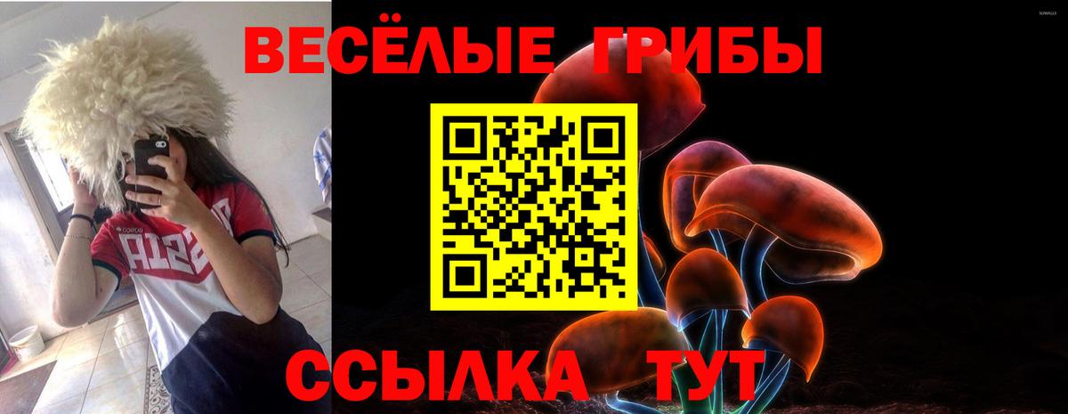 Псилоцибиновые грибы Magic Shrooms Можга